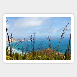 Cape Reinga, New Zealand Sticker